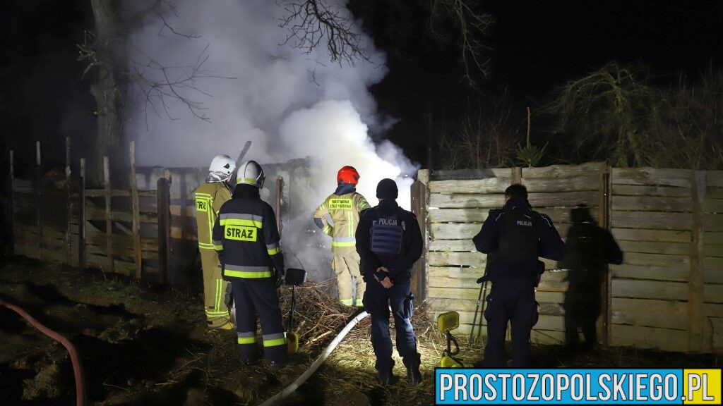 Pożar altanki na ogródkach działkowych przy ul. Nowowiejskiego w Opolu. Spłonęła także wędzarnia(Wideo)