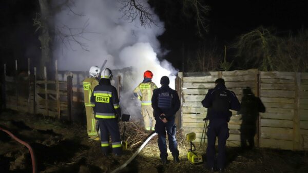 Pożar altanki na ogródkach działkowych przy ul. Nowowiejskiego w Opolu. Spłonęła także wędzarnia(Wideo)