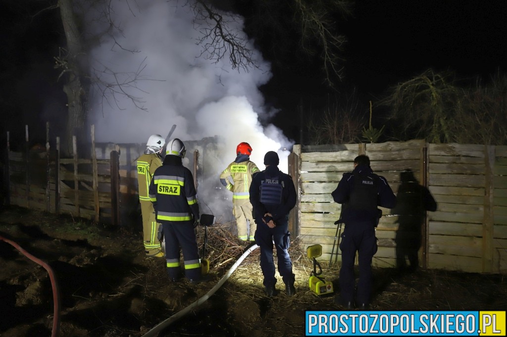Pożar altanki na ogródkach działkowych przy ul. Nowowiejskiego w Opolu. Spłonęła także wędzarnia(Wideo)