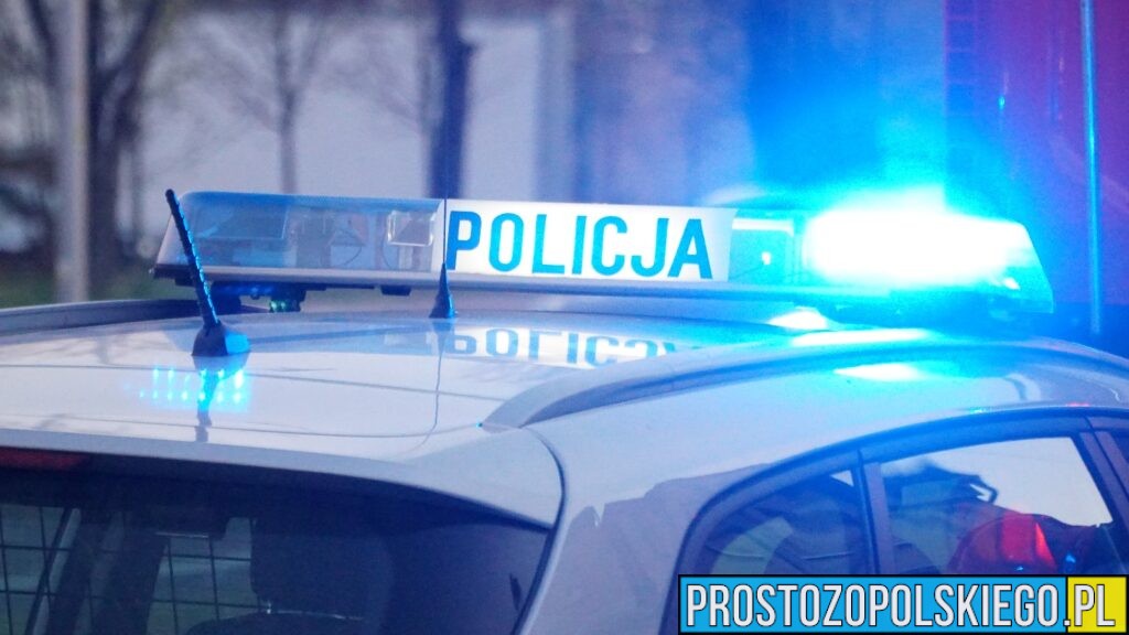 Kontrola drogowa w Nysie. Pasażerowie bez pasów, a kierowca bez prawa jazdy