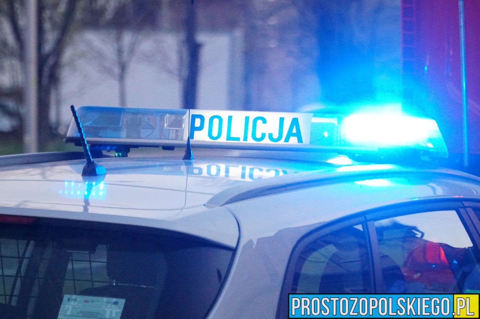 Kontrola drogowa w Nysie. Pasażerowie bez pasów, a kierowca bez prawa jazdy