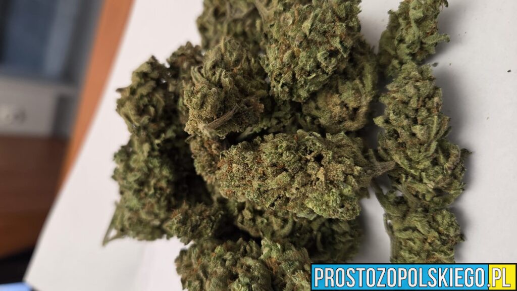 Policjanci z Krapkowic zatrzymali dwóch mężczyzn z narkotykami. Zabezpieczono marihuanę i amfetaminę