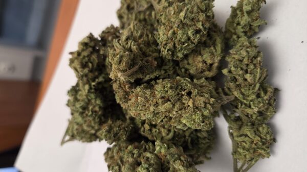 Policjanci z Krapkowic zatrzymali dwóch mężczyzn z narkotykami. Zabezpieczono marihuanę i amfetaminę