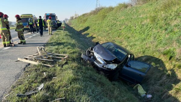 Wypadek na obwodnicy ronda Szczakiela w Opolu. Samochód wylądował w rowie, wśród poszkodowanych dziecko