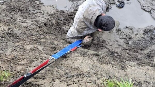 26-latek wpadł do rzeki w Kietrzu. Akcja ratunkowa policji i medyków