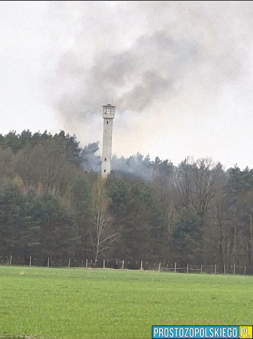 pożar lasu pożar auta w lesie, pożar wieży przeciw pożarowej, pożar lasu świerkle, pożar lasu w czarnowąsach, pożar lasu,