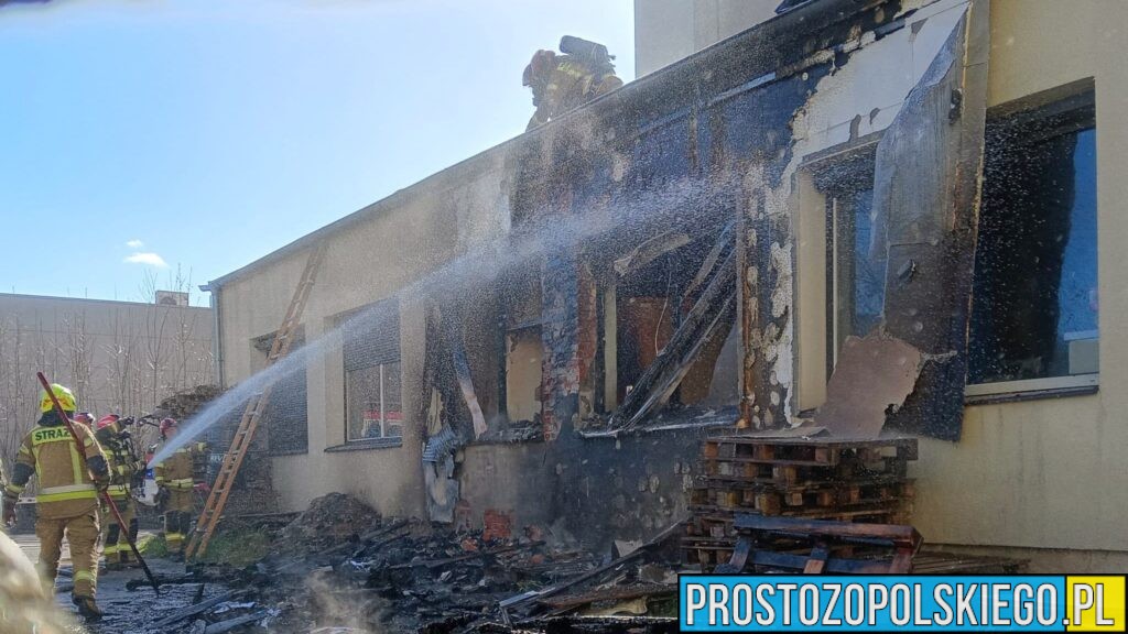 Pożar przy warsztacie samochodowym w Brzegu. Spłonęły palety, uszkodzone auta i elewacja budynku