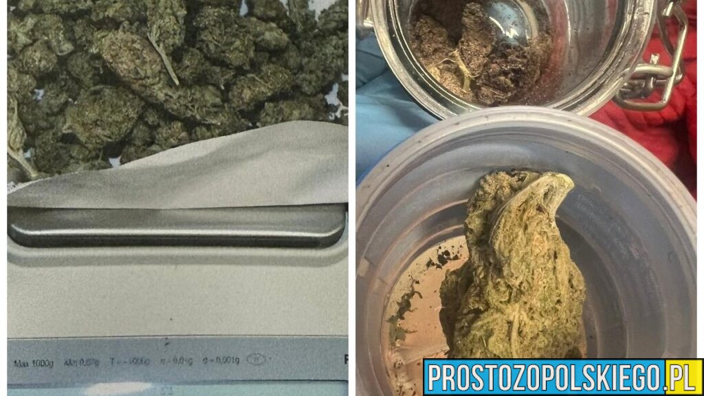 Zapach marihuany zdradził kierowcę. Nocna kontrola w Namysłowie zakończona zatrzymaniem dwóch mężczyzn