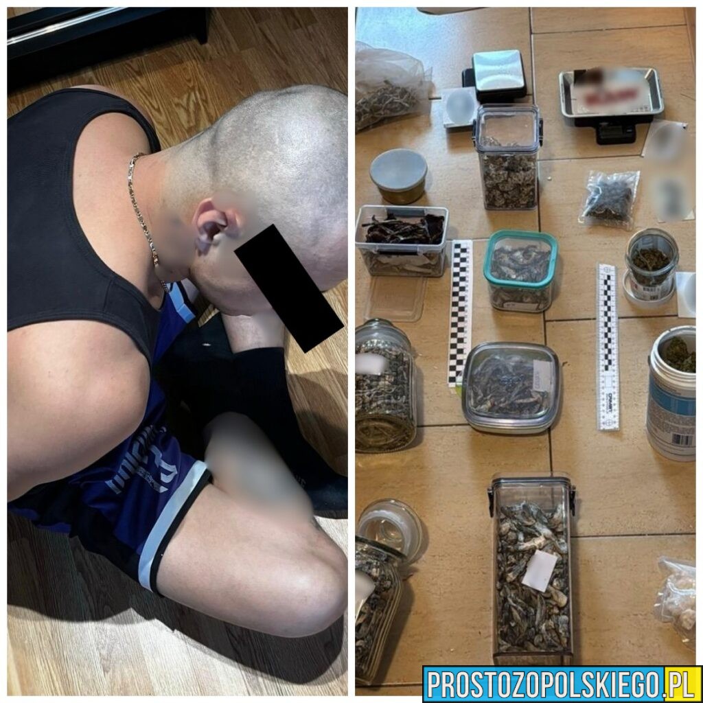 Poszukiwany za&nbsp;zgwałcenie zatrzymany w&nbsp;Opolu. Policja zabezpieczyła narkotyki