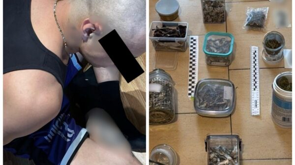 Poszukiwany za zgwałcenie zatrzymany w Opolu. Policja zabezpieczyła narkotyki