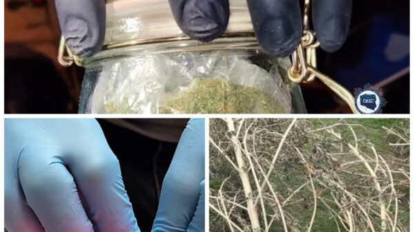 Duża akcja przeciwko narkobiznesowi w regionie. 27 osób z zarzutami