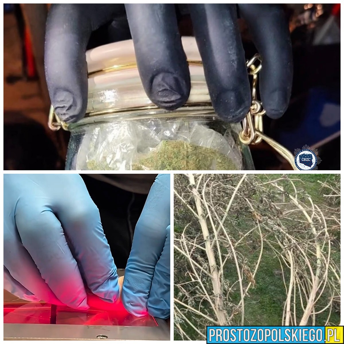 Duża akcja przeciwko narkobiznesowi w regionie. 27 osób z zarzutami