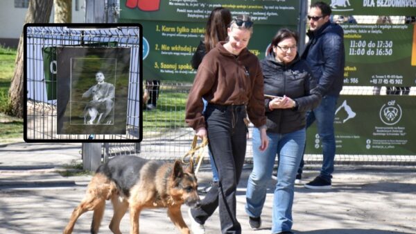 „Spacer dla Łukasza” w Opolu. Wzruszająca akcja w schronisku zamiast wieńców
