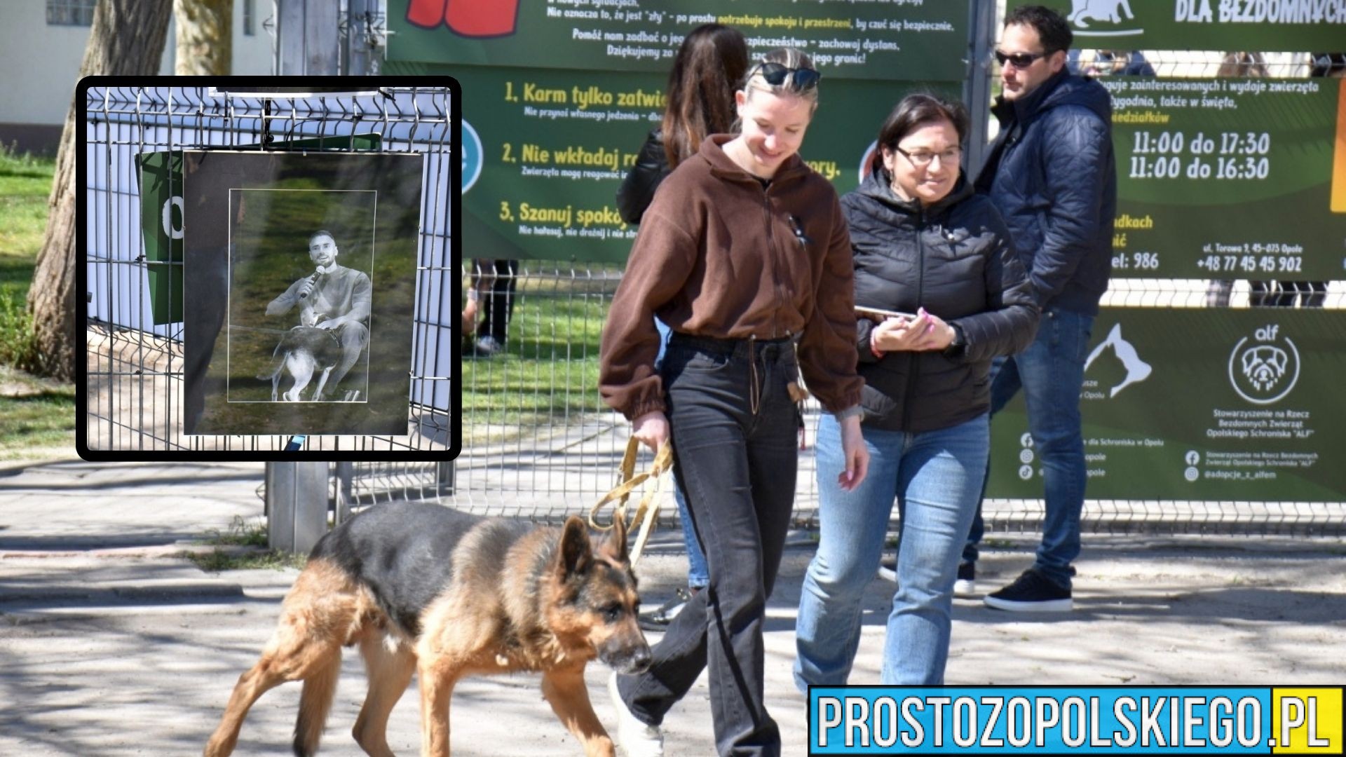 „Spacer dla Łukasza” w Opolu. Wzruszająca akcja w schronisku zamiast wieńców