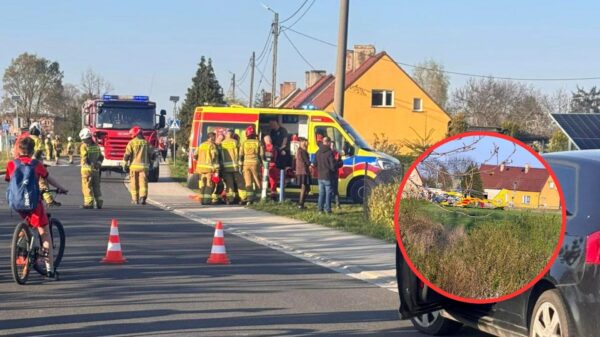 Wypadek w Łukowicach Brzeskich. Mężczyzna spadł z drzewa – na miejscu lądował śmigłowiec LPR