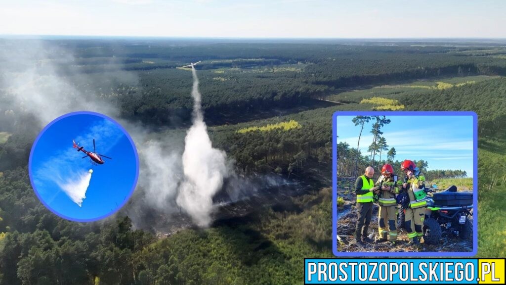 Pożar lasu w Wysokiej. Ponad 20 zastępów straży i wsparcie z powietrza