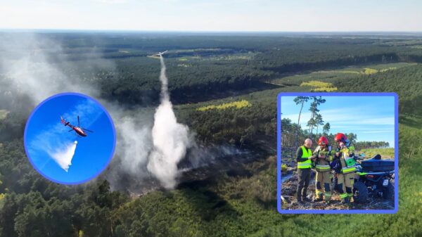 Pożar lasu w Wysokiej. Ponad 20 zastępów straży i wsparcie z powietrza