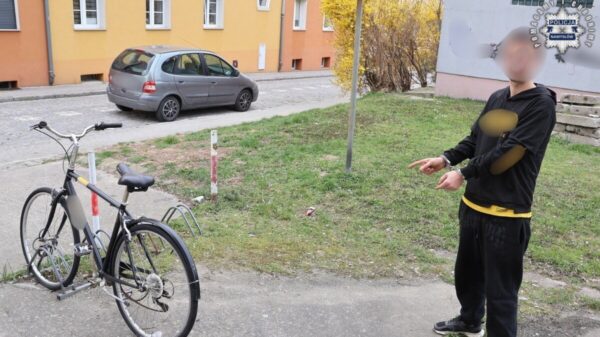 Seria kradzieży i włamań w powiecie namysłowskim. 19-latek zatrzymany, straty sięgają 40 tys. zł
