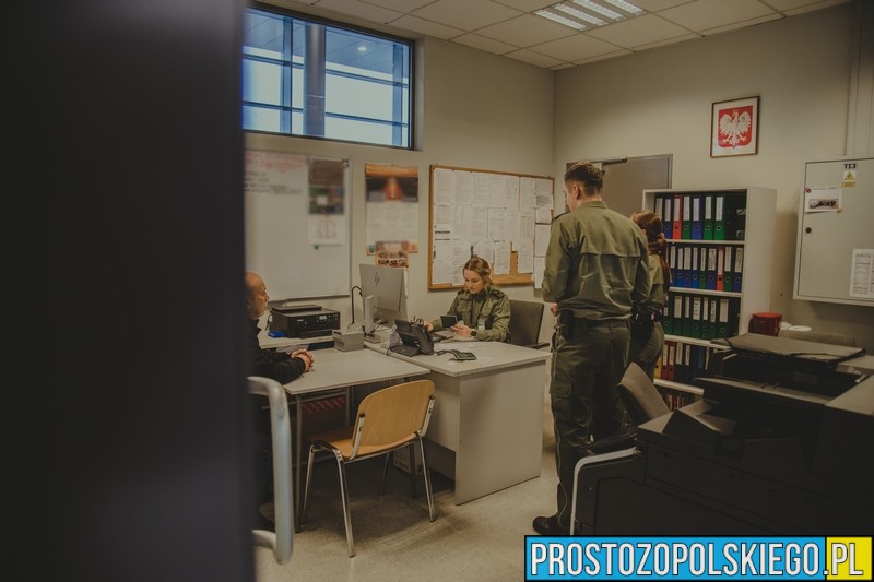 101 kontroli legalności zatrudnienia w 2026 roku. Setki nieprawidłowości wykrytych przez Straż Graniczną