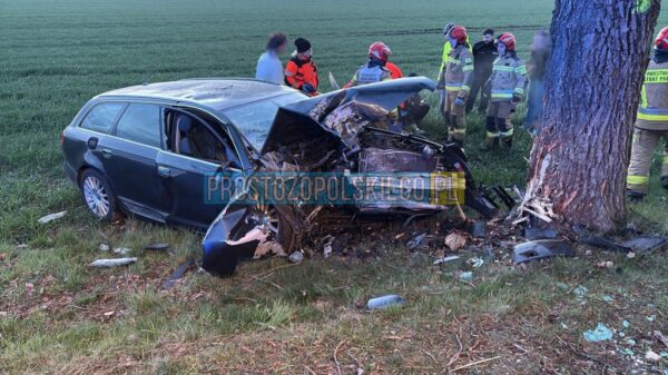 Niebezpieczne wyprzedzanie na DK88. Auto w rowie po manewrze przed skrzyżowaniem