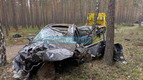 wypadek Kup Chróścice, śmiertelny wypadek Opolskie, Volkswagen Passat wypadek, 28-latek zginął, wypadek droga powiatowa Opole