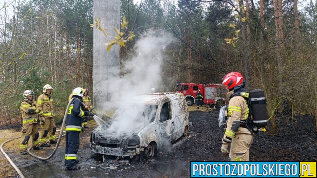 Pożar samochodu i poszycia leśnego w Opolu. Szybka akcja strażaków zapobiegła rozprzestrzenieniu się ognia (WIDEO)