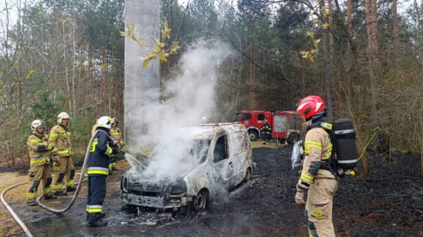 Pożar samochodu i poszycia leśnego w Opolu. Szybka akcja strażaków zapobiegła rozprzestrzenieniu się ognia (WIDEO)