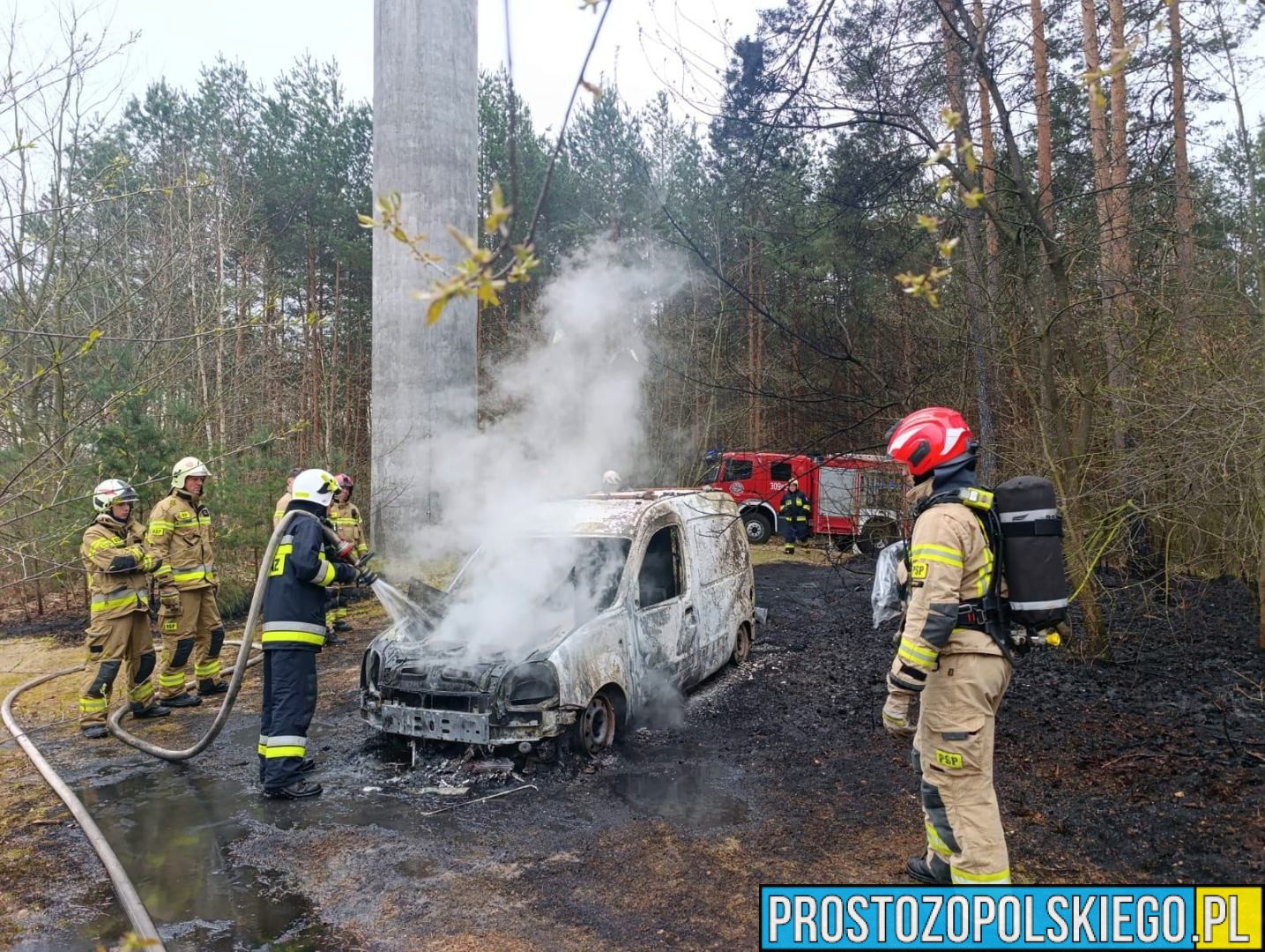 Pożar samochodu i poszycia leśnego w Opolu. Szybka akcja strażaków zapobiegła rozprzestrzenieniu się ognia (WIDEO)