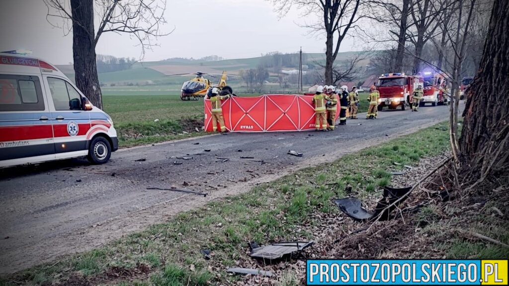 Tragiczny wypadek na DW417. Nie żyje 25-letni kierowca BMW