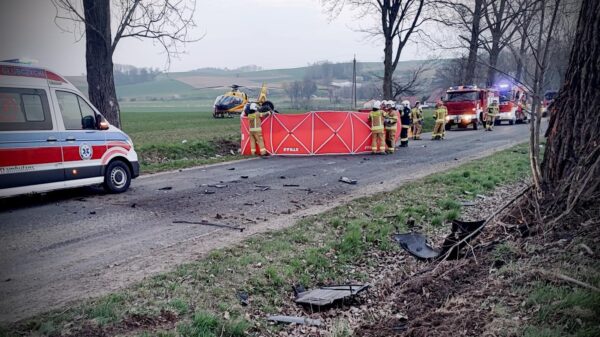 Tragiczny wypadek na DW417. Nie żyje 25-letni kierowca BMW