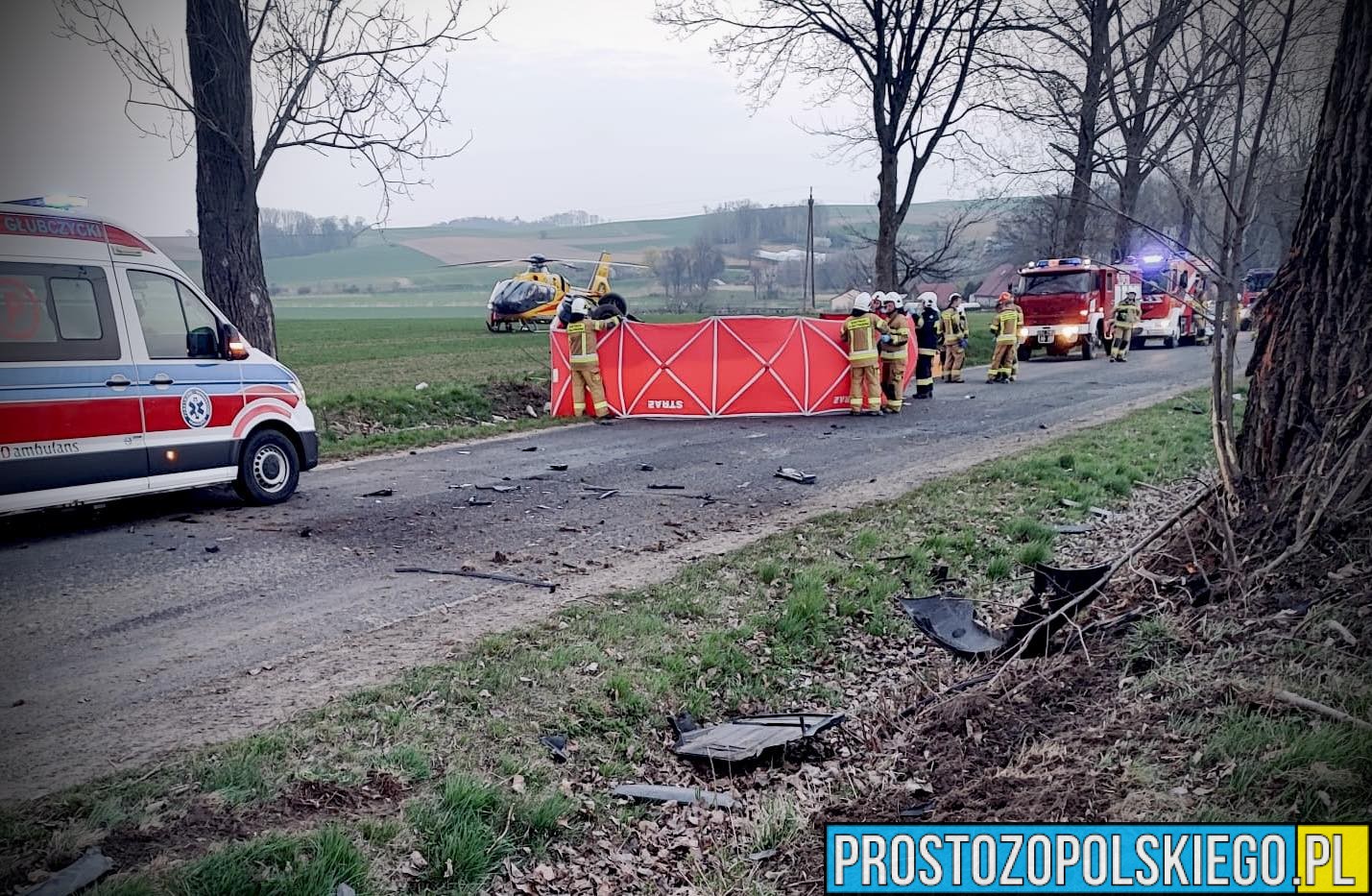 Tragiczny wypadek na DW417. Nie żyje 25-letni kierowca BMW