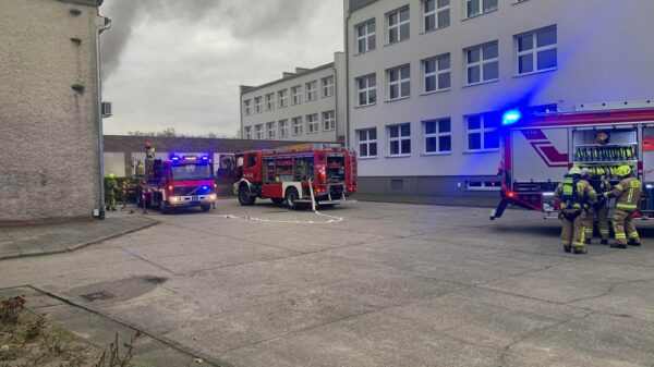 Pożar w szkole w Zdzieszowicach. Ewakuowano dzieci, zajęcia odwołane