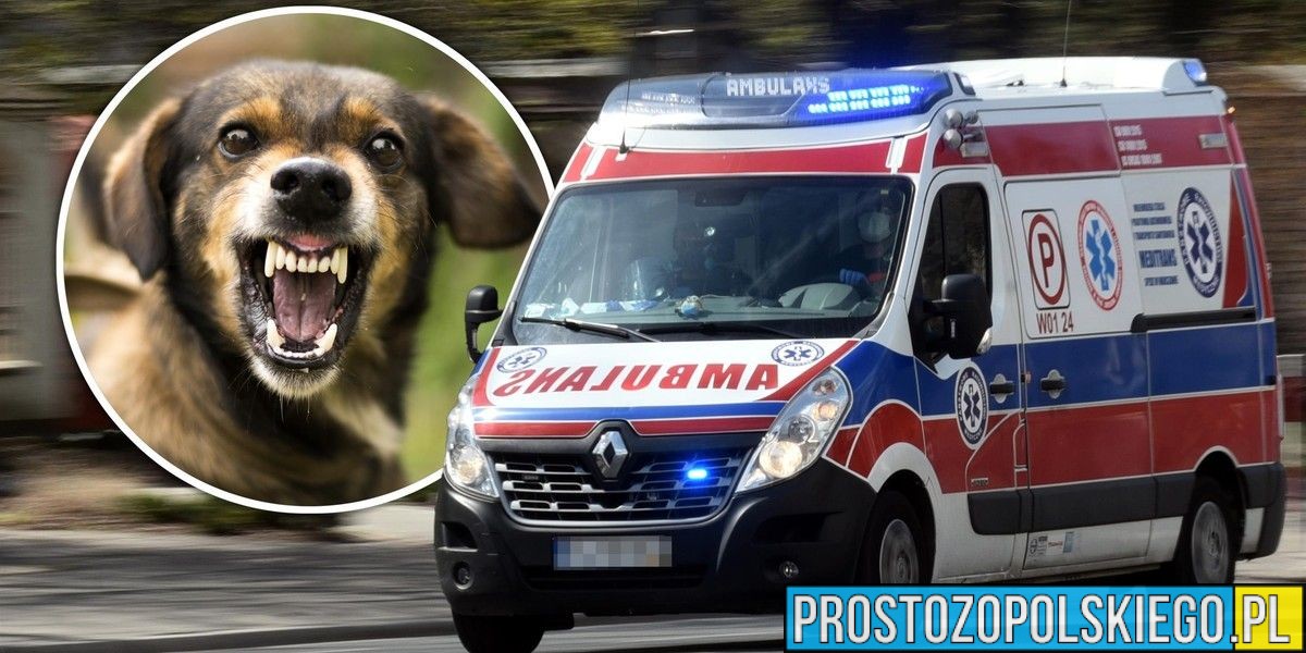 Ratownicy apelują: zabezpiecz zwierzęta przed przyjazdem ZRM. Liczy się każda sekunda