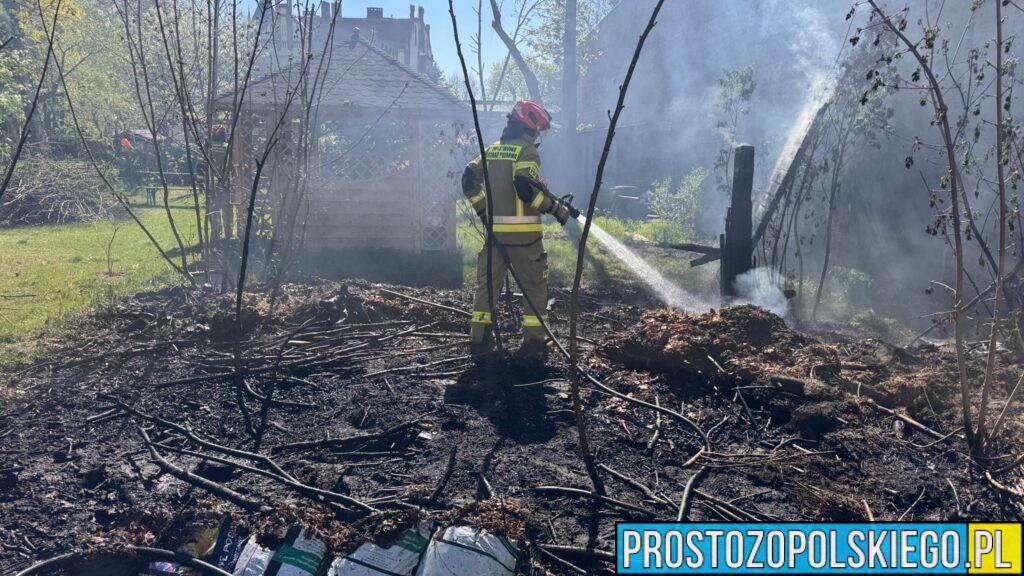 Pożar trawy w Kędzierzynie-Koźlu. Szybka akcja strażaków zapobiegła rozprzestrzenieniu ognia