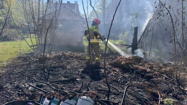 Pożar trawy w Kędzierzynie-Koźlu. Szybka akcja strażaków zapobiegła rozprzestrzenieniu ognia