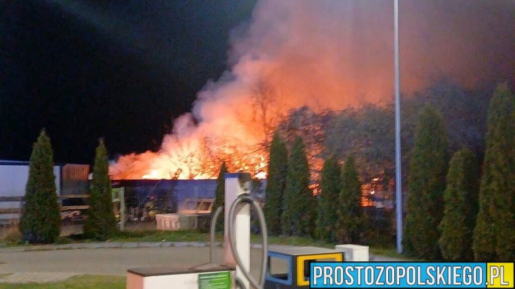 Pożar na ogródkach działkowych w Kłodnicy. Akcja strażaków przy ul. Wyspiańskiego