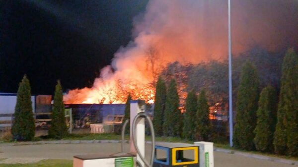 Pożar na ogródkach działkowych w Kłodnicy. Akcja strażaków przy ul. Wyspiańskiego