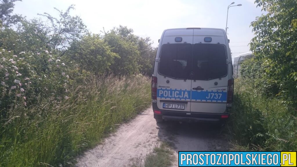 Libacja alkoholowa na działkach w Kędzierzynie-Koźlu. Policja zastała pijana kobietę i dzieci