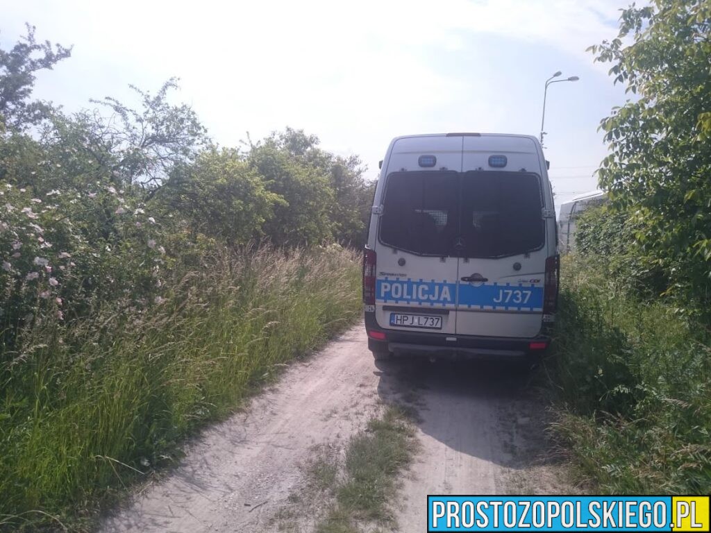 Libacja alkoholowa na&nbsp;działkach w&nbsp;Kędzierzynie-Koźlu. Policja zastała pijana kobietę i&nbsp;dzieci