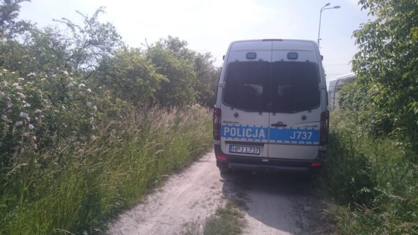 Libacja alkoholowa na działkach w Kędzierzynie-Koźlu. Policja zastała pijana kobietę i dzieci