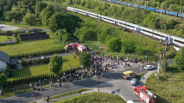 Pożar przy torowisku między Starym Koźlem a Azotami. Ewakuowano pasażerów pociągu Intercity