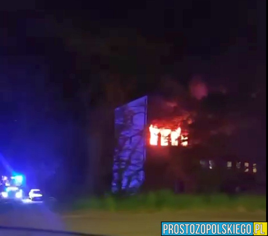pożąr mieszkania w&nbsp;opolu, pożar mieszkania, pożar mieszkania na&nbsp;odrzańskiej, straż gamiła mieszkanie, osp przywory