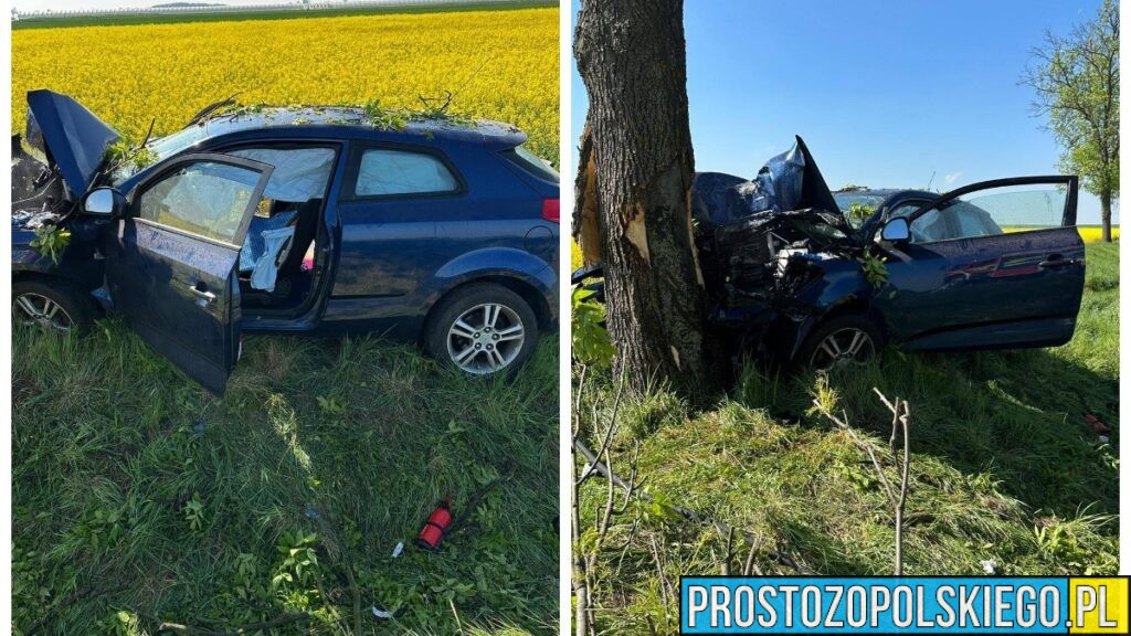 Wypadek na DK46 pod Nysą. Samochód uderzył w drzewo, lądował śmigłowiec LPR