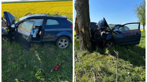 Wypadek na DK46 pod Nysą. Samochód uderzył w drzewo, lądował śmigłowiec LPR