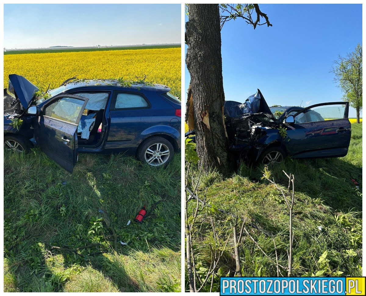 Wypadek na DK46 pod Nysą. Samochód uderzył w drzewo, lądował śmigłowiec LPR