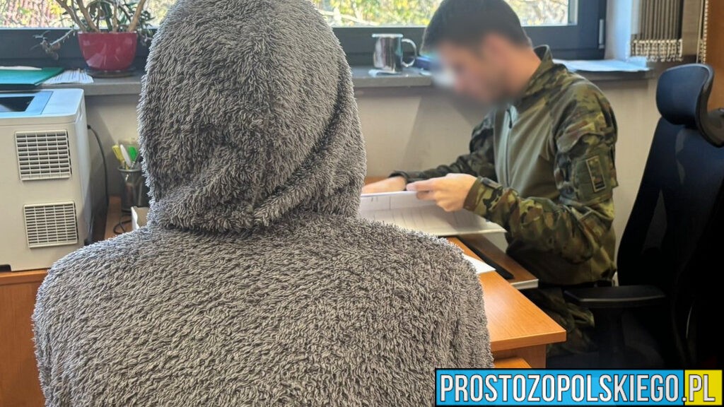 Cudzoziemcy skazani prawomocnymi wyrokami deportowani z Polski. Straż Graniczna wydała kolejne decyzje