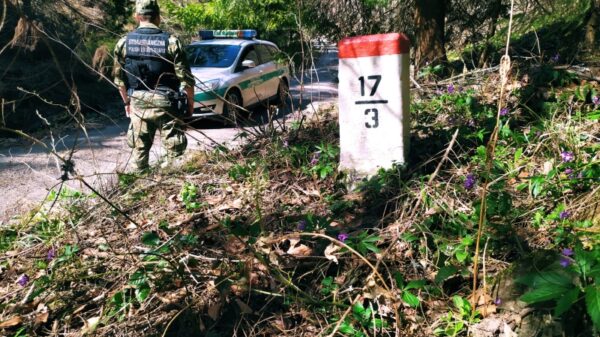 7 obywateli Serbii i Indonezyjczyk zatrzymani przez Straż Graniczną w Opolu. Kontrola legalności pobytu