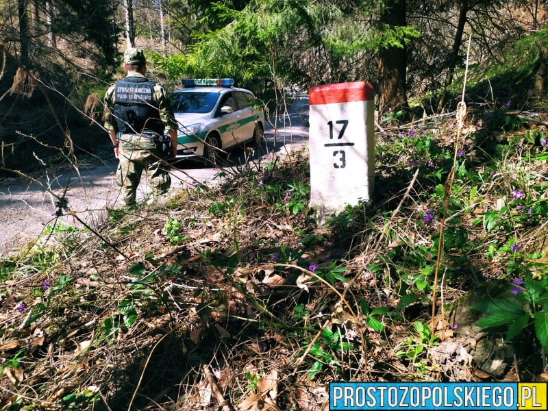7 obywateli Serbii i Indonezyjczyk zatrzymani przez Straż Graniczną w Opolu. Kontrola legalności pobytu