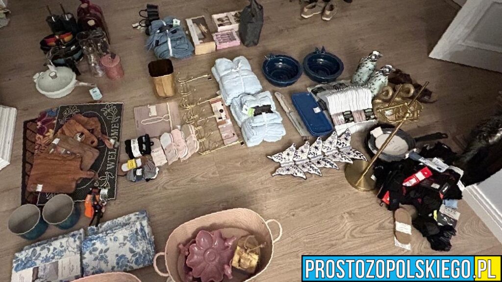 54-latka zatrzymana za wielokrotne kradzieże w galerii handlowej