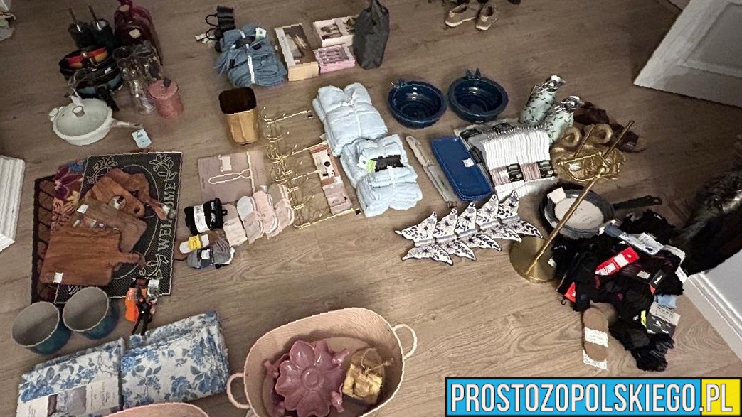 54-latka zatrzymana za wielokrotne kradzieże w galerii handlowej